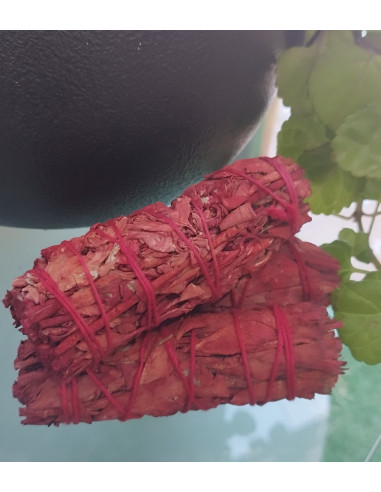 ATADO SANGRE DRAGÓN