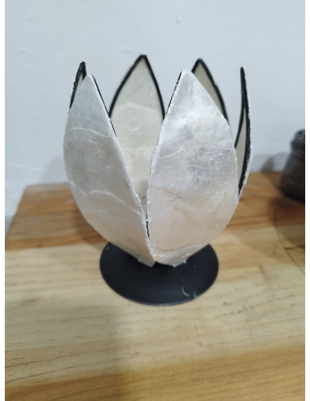 PORTA VELA  NACAR