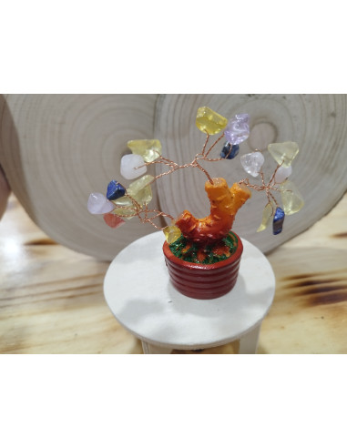 BONSAI PEQUEÑO CHAKRAS