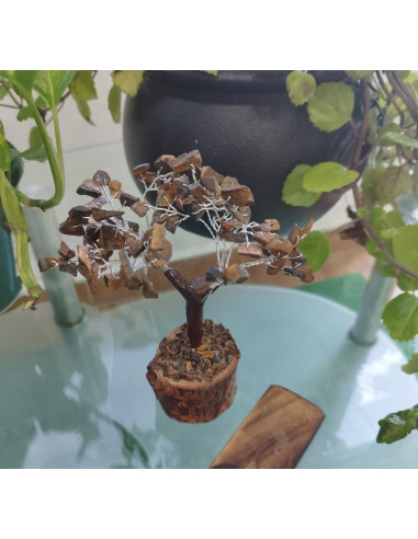 ARBOL CHIP OJO DE TIGRE