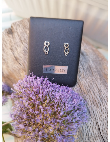 PENDIENTES  GATOS