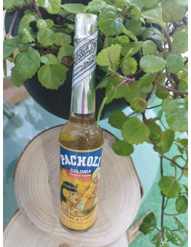AGUA ESOTERICA 270ML PACHULI