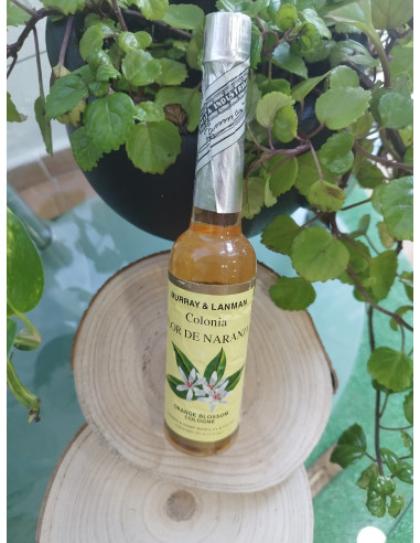 AGUA ESOTERICA 270ML NARANJA