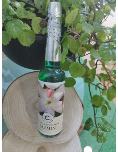 AGUA ESOTERICA 270ML JAZMIN