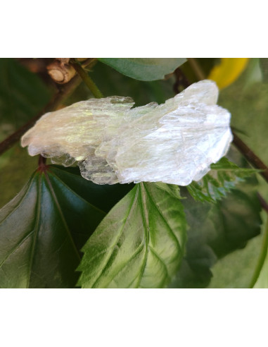 NACAR LAMINA 4/6 CM