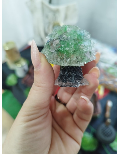 ARBOL ORGONITA